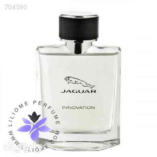 https://botick.com/product/704590-عطر-ادکلن-جگوار-اینویشن-|-Jaguar-Innovation