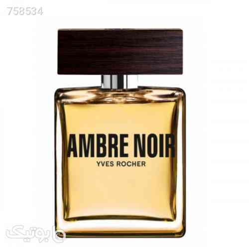 https://botick.com/product/758534-عطر-ادکلن-ایو-روشه-امبر-نویر-|-Yves-Rocher-Ambre-Noir