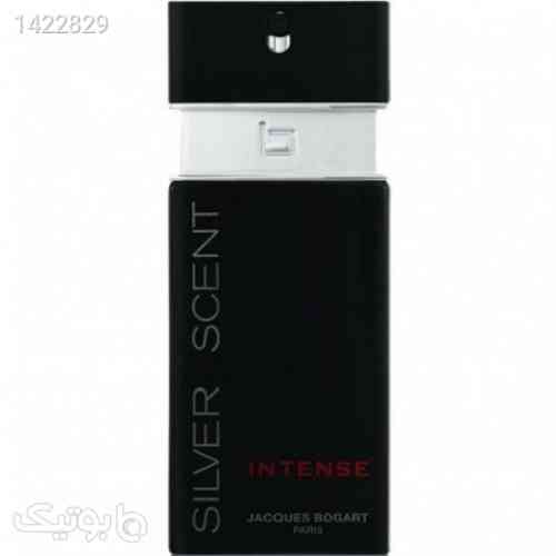 https://botick.com/product/1422829-silver-scent-intense-جکس-بوگارت-سیلور-سنت-اینتنس
