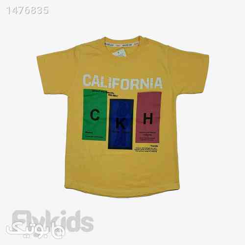 https://botick.com/product/1476835-تیشرت-پسرانه-کالیفرنیا-زرد