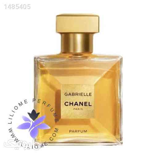 https://botick.com/product/1485405-عطر-ادکلن-شنل-گابریل-پارفوم-|-Chanel-Gabrielle-Parfum