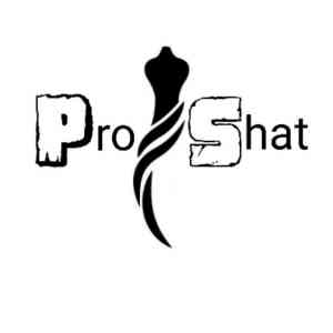 فروشگاه اینترنتی pro_shat
