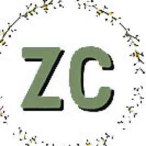 فروشگاه زئوس-logo